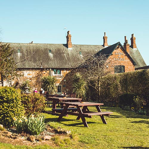 The History of The Anne of Cleves